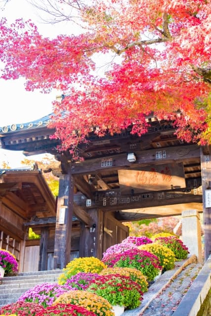 修善寺で楽しめる季節のイベント