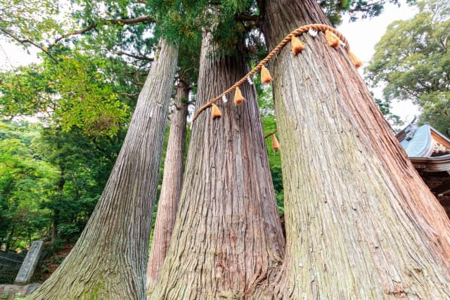 修善寺 日枝神社──縁結びと子宝のご利益