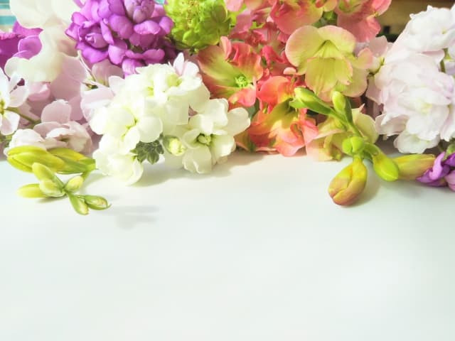 西伊豆・恋人岬の特別な瞬間 ──プロポーズとサプライズを叶える