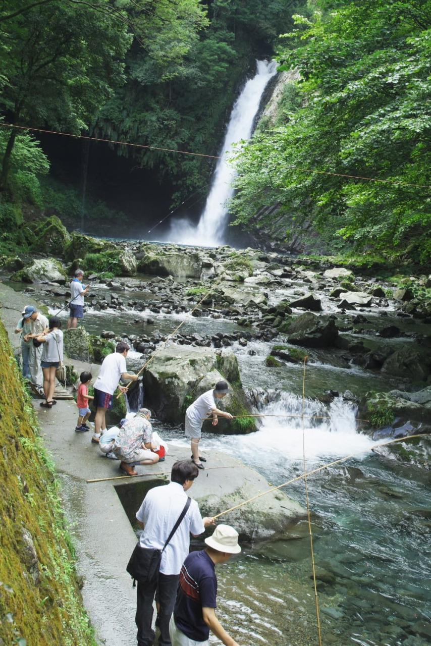 伊豆・浄蓮の滝完全ガイド｜アクセス・所要時間・200段の階段と周辺
