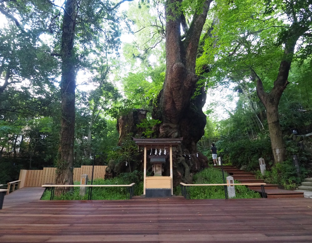 千年樹香ー神木の力を紫煙に乗せて 千年樹香ー神木の力を紫煙に乗せて