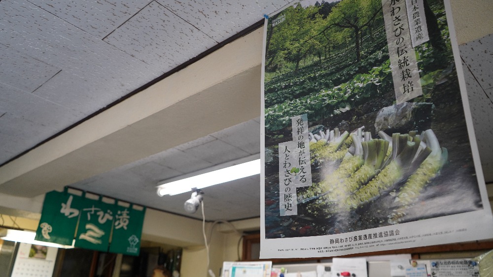 伊豆屋わさび店】わさび農家が直営するわさび専門店 - COLUMN｜Izu Letters