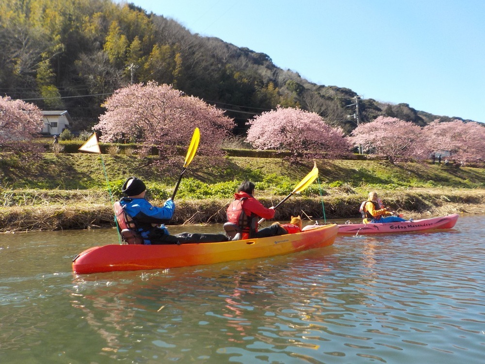 湊CAFÉ＆PIRATES Sea Kayak Adventure】自然豊かな南伊豆でシーカヤック - COLUMN｜Izu Letters