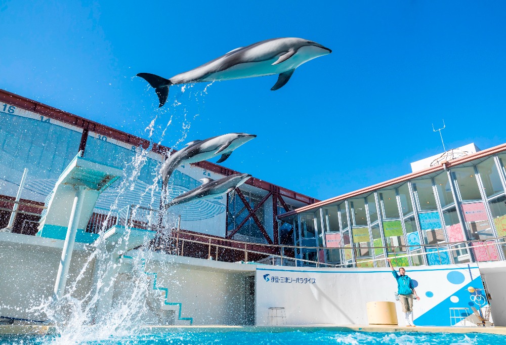 伊豆 三津シーパラダイス 自然の地形を活かした水族館 富士山ビュースポットとしても Column Izu Letters