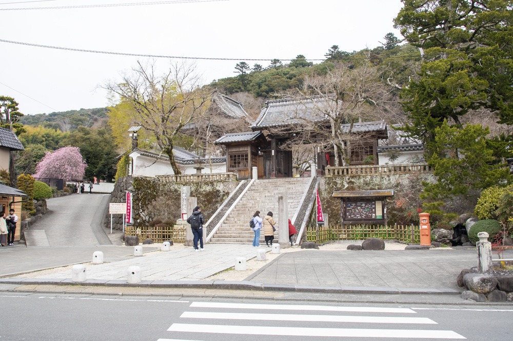 修善寺】人力車で見て回る、古き良き温泉街の知られざる魅力 - COLUMN