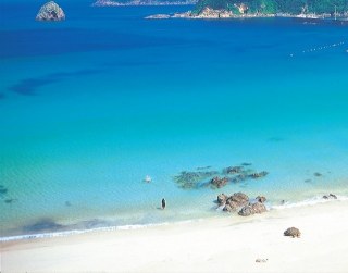 川津来宮神社（杉桙別命神社）】昔からの風習が残る神社