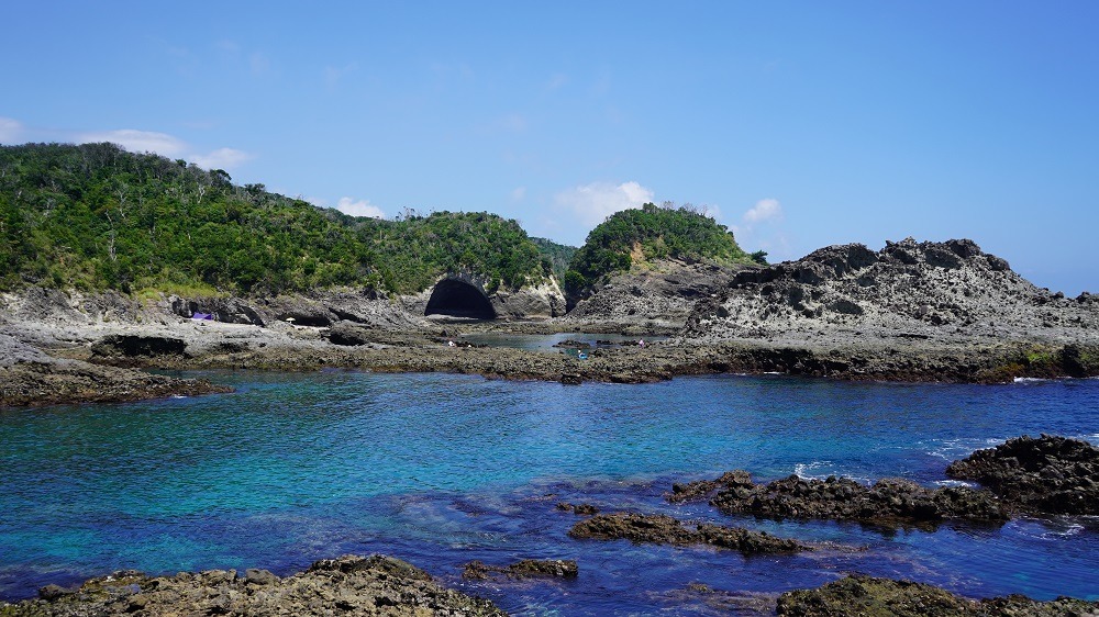 タライ岬】下田・南伊豆の海を巡るタライ岬遊歩道 - COLUMN｜Izu Letters