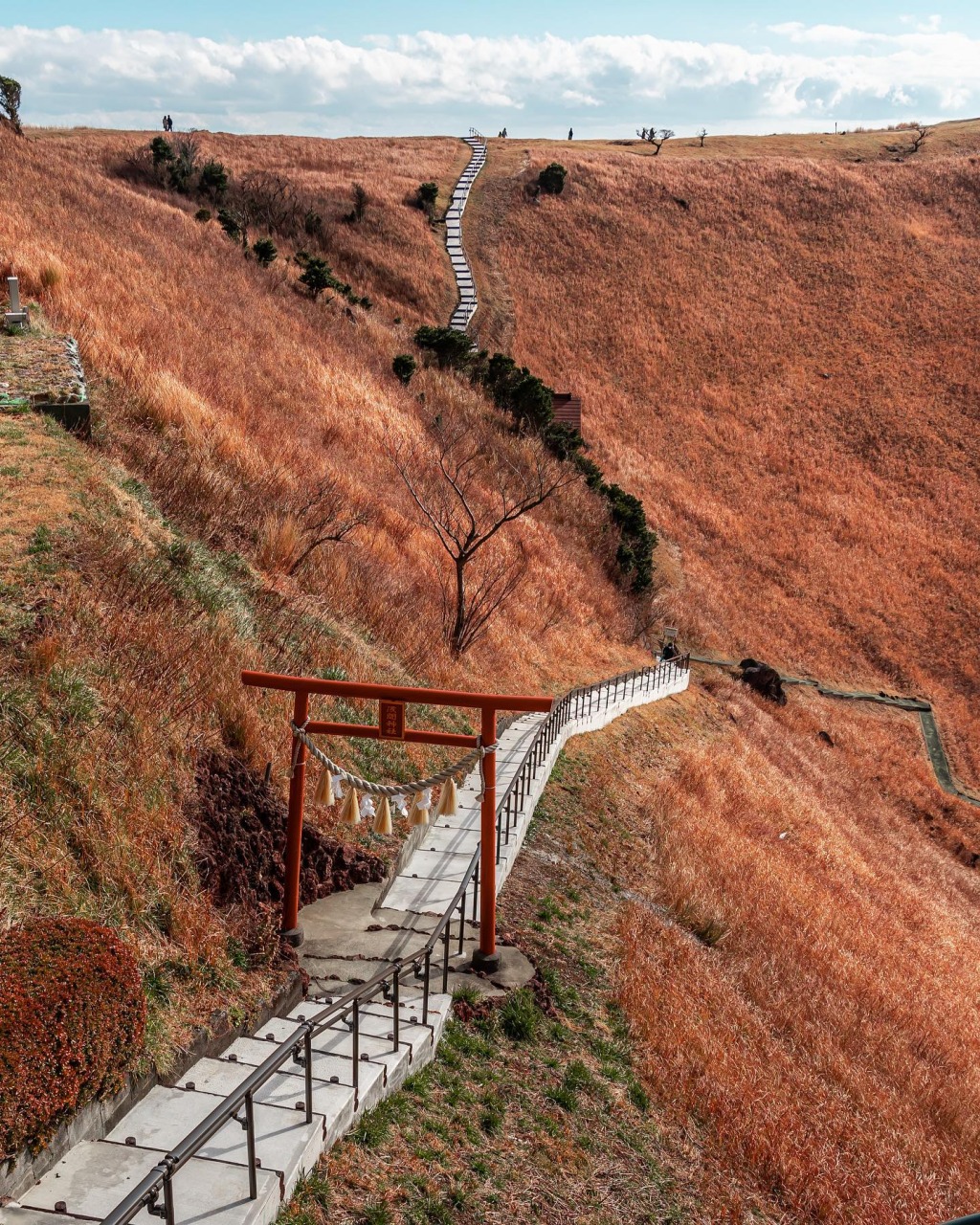 伊豆 大室山の浅間神社は特別なパワースポット！ 厳かに参拝して御朱印