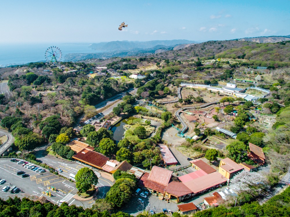 【伊豆アニマルキングダム】大自然の中にある動物園、遊園地、ゴルフ場完備の複合型レジャーランド COLUMN｜Izu Letters