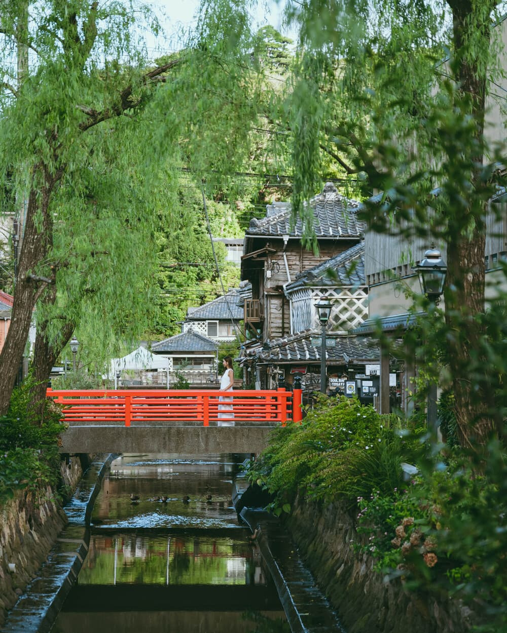 東海バスフリーきっぷでバス旅へ>フォトグラファーが巡る南伊豆②