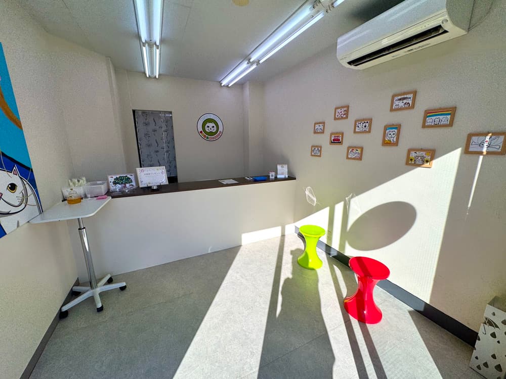 どらねこ堂　内観