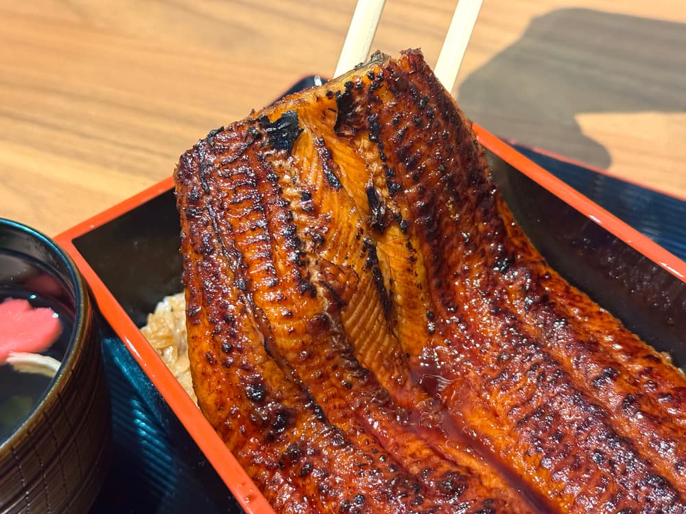 うな匠　「うなぎ1匹蒲焼膳」