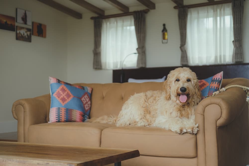 中伊豆ワイナリーシャトーT.S　「EAST WINDS VILLAGE」