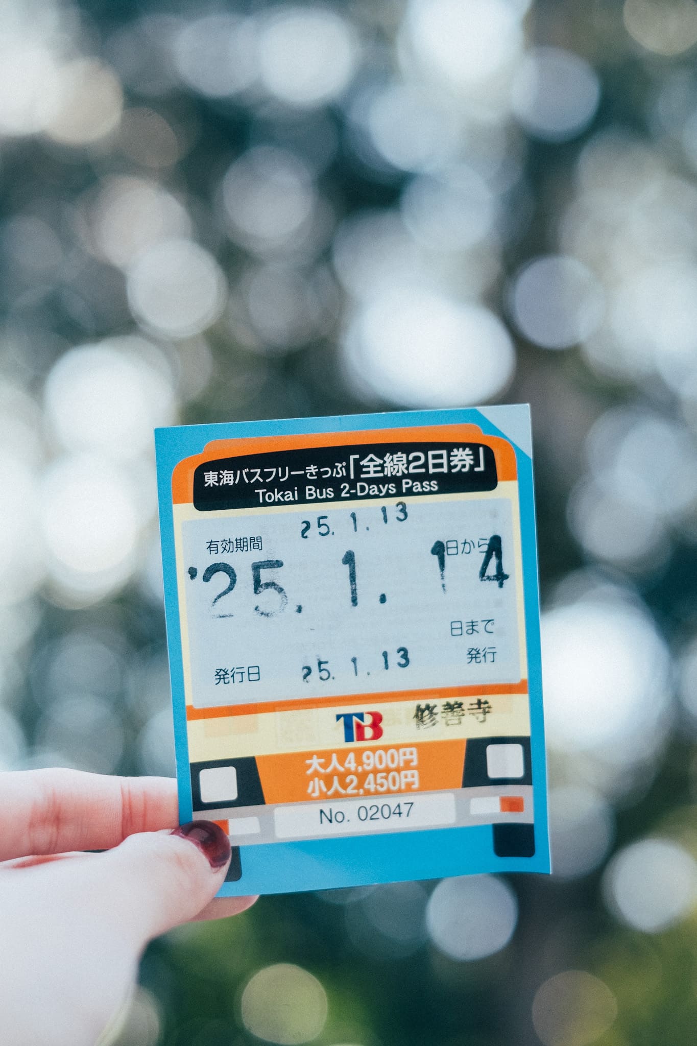 東海バスフリーきっぷ全線2日券