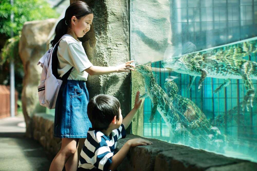 熱川バナナワニ園
