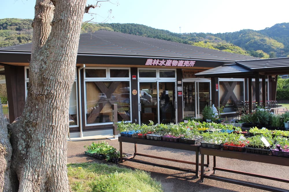 道の駅　下賀茂温泉湯の花