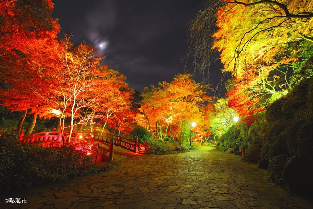 熱海梅園もみじまつり