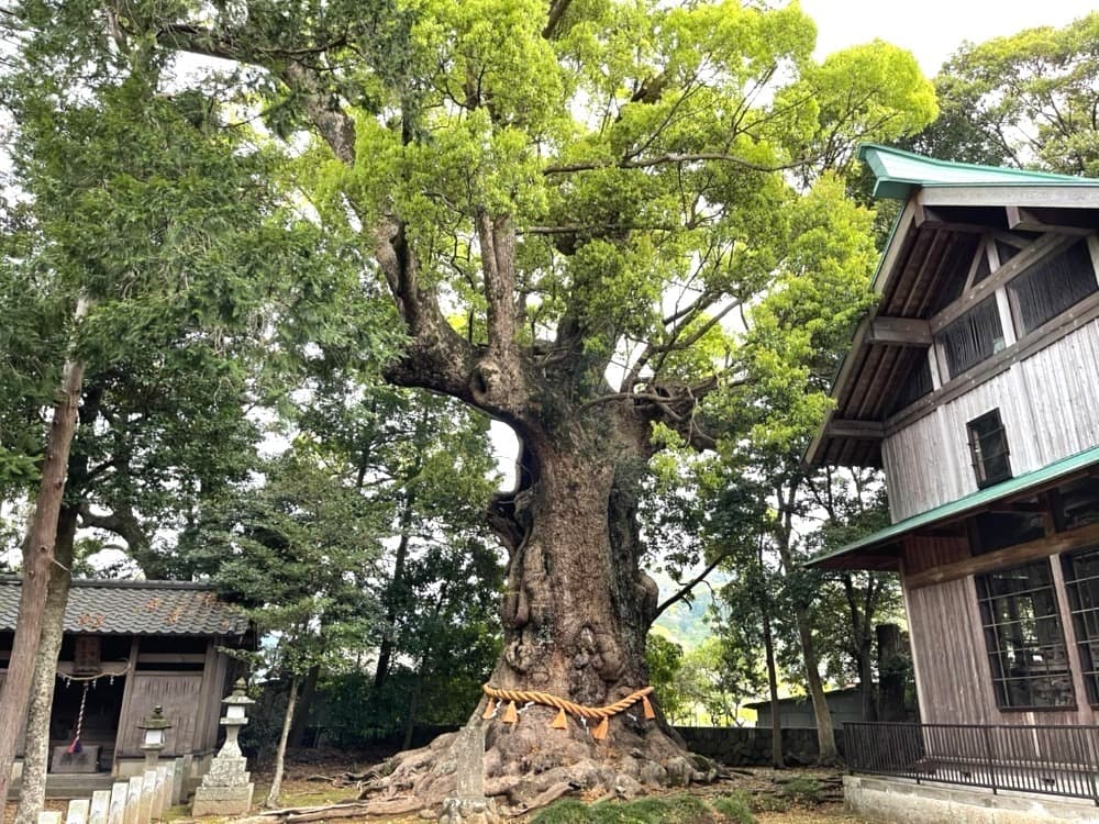 川津来宮神社