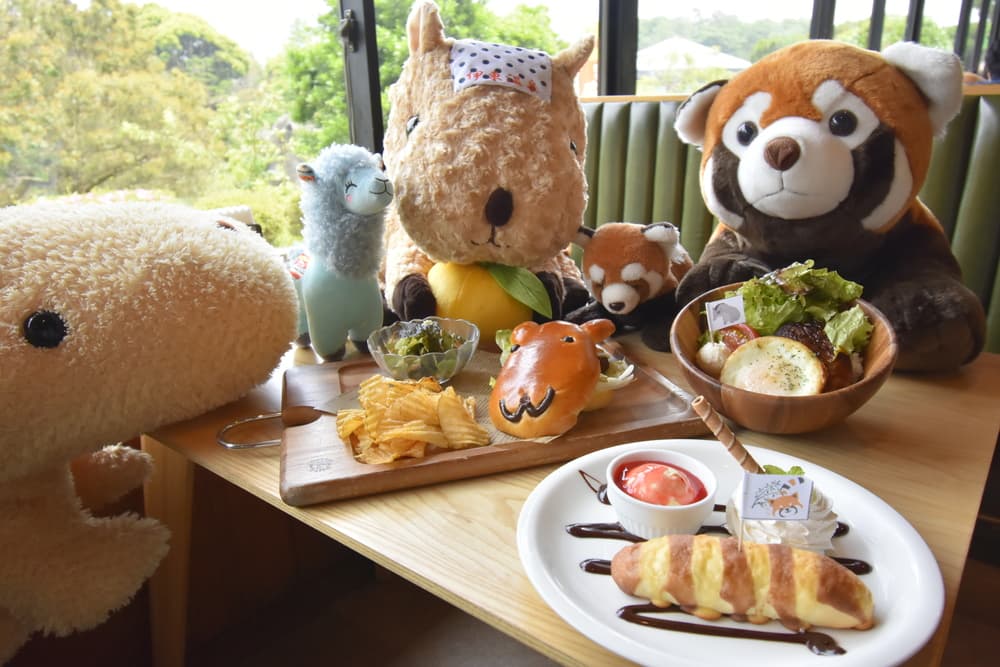 シャボテン動物公園　レストラン