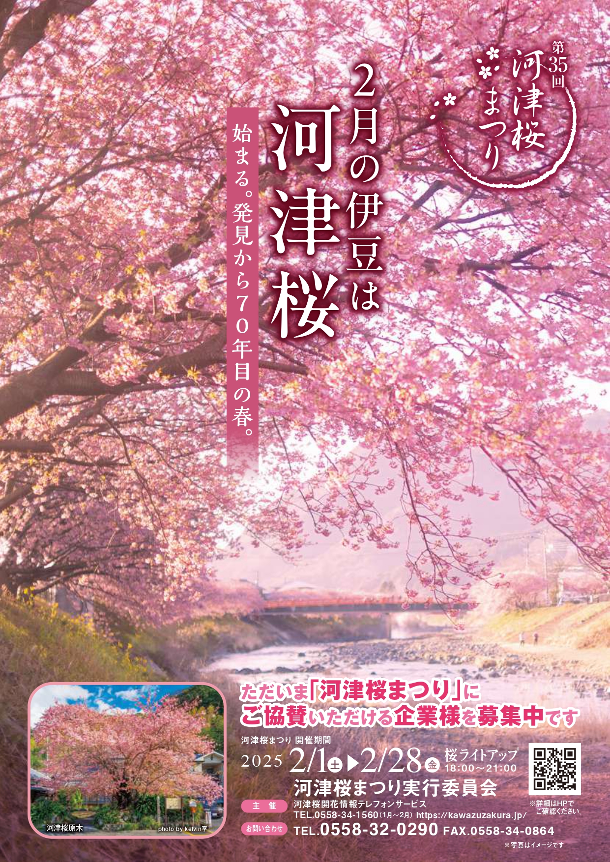 河津桜まつりポスター