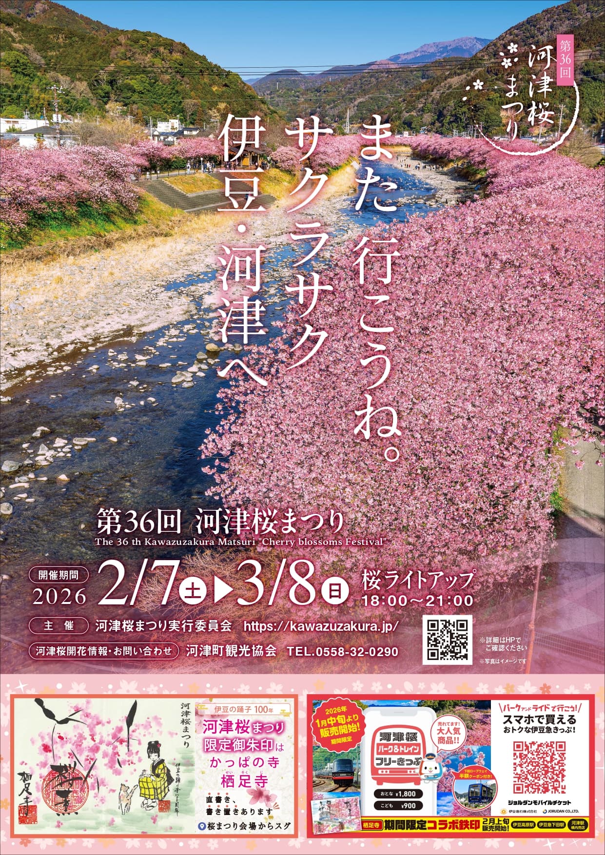 第36回河津さくらまつり　パンフレット２