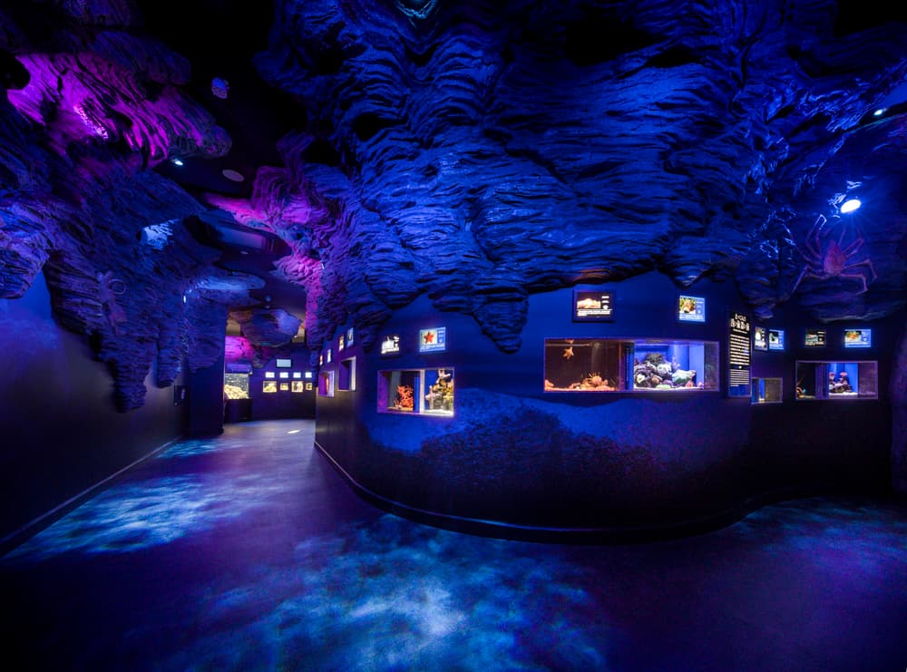 沼津深海水族館