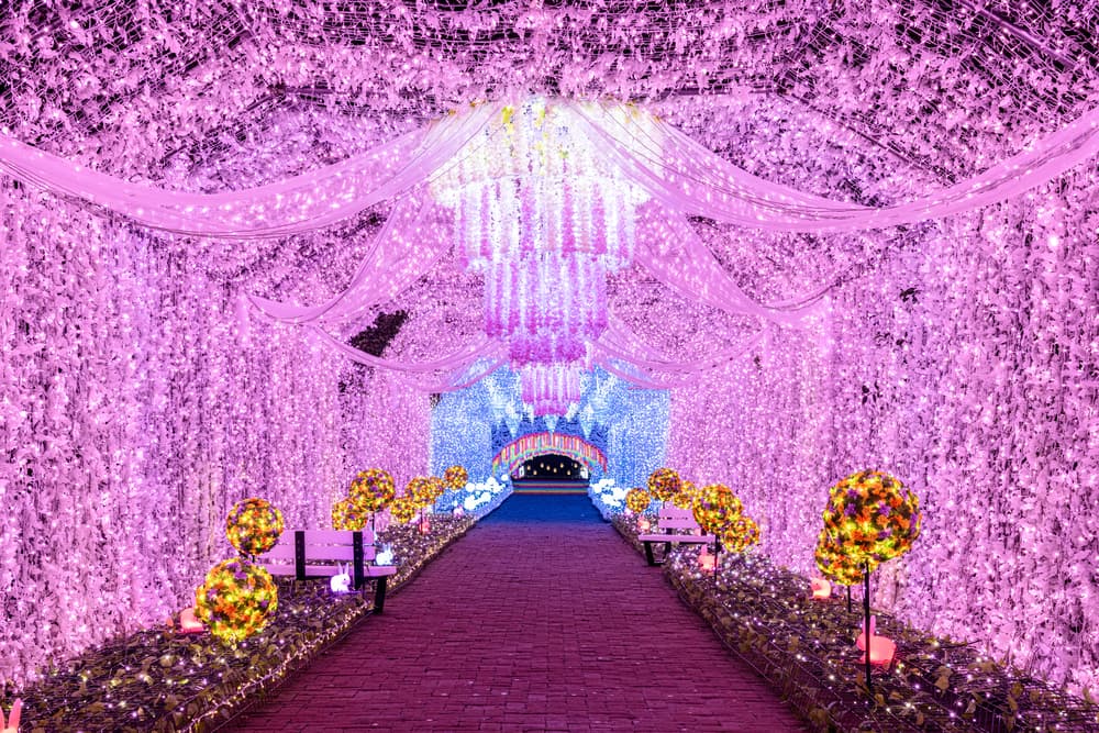 時之栖　イルミネーション