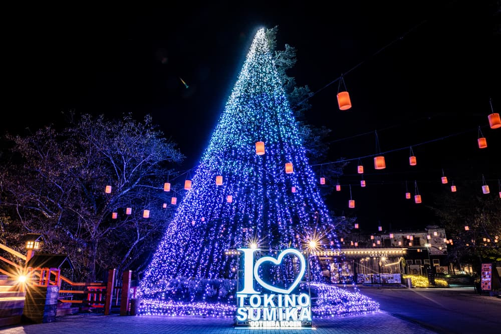 時之栖　シンボルツリー