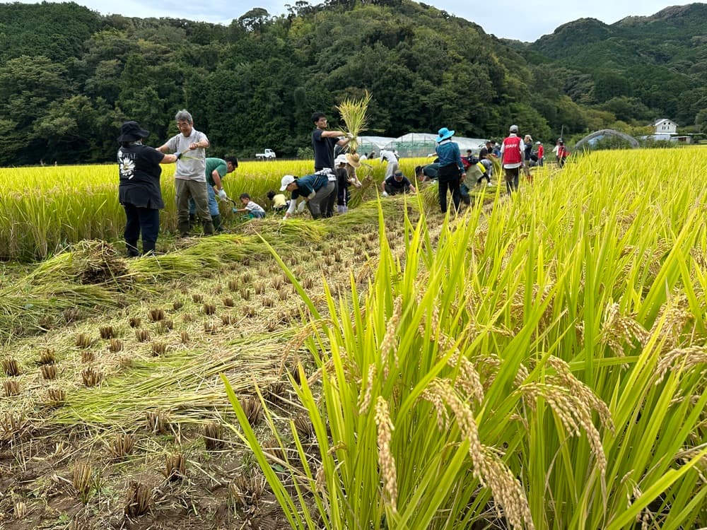 道の駅 下賀茂温泉 湯の花