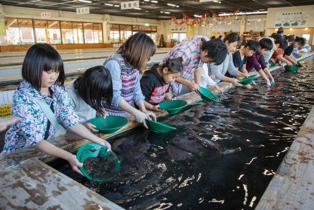 土肥金山 砂金採り