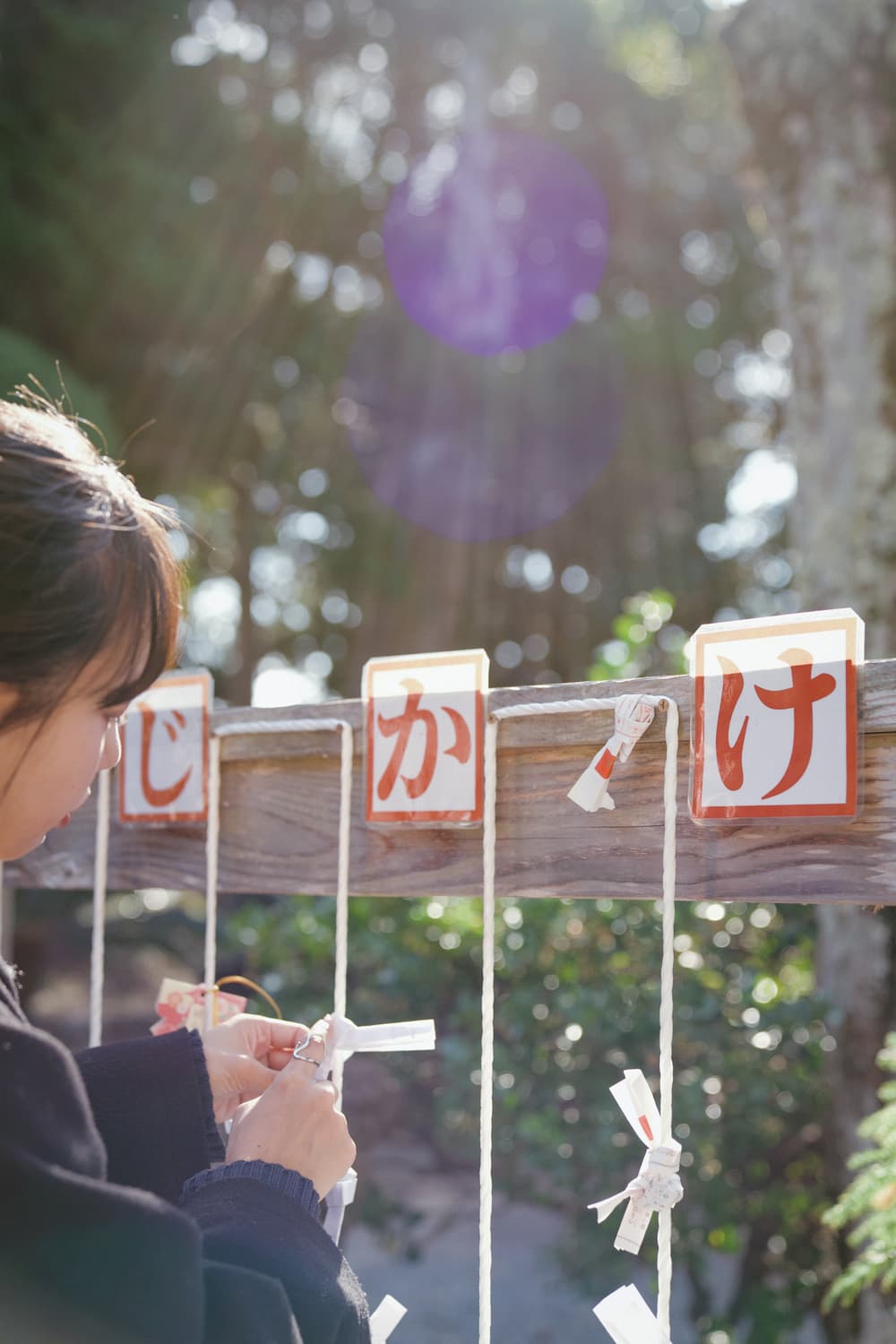 白浜神社　おみくじ