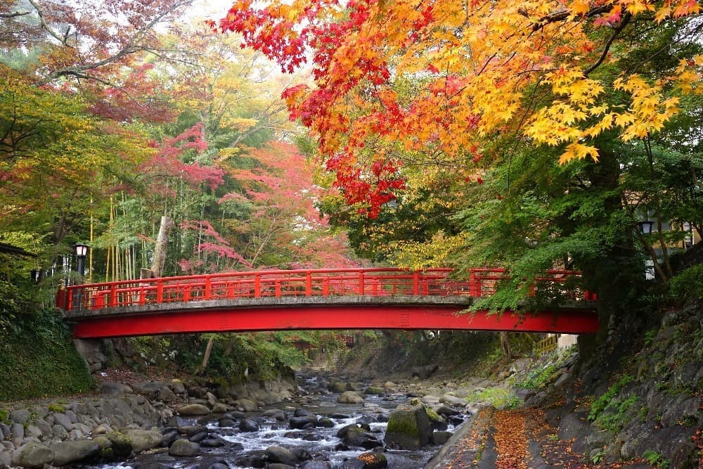 修善寺温泉