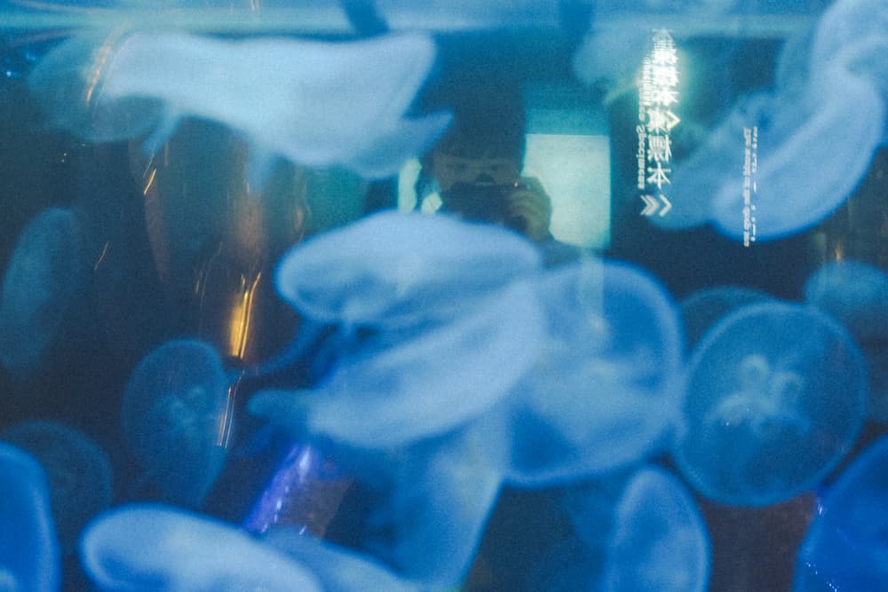 沼津港深海水族館