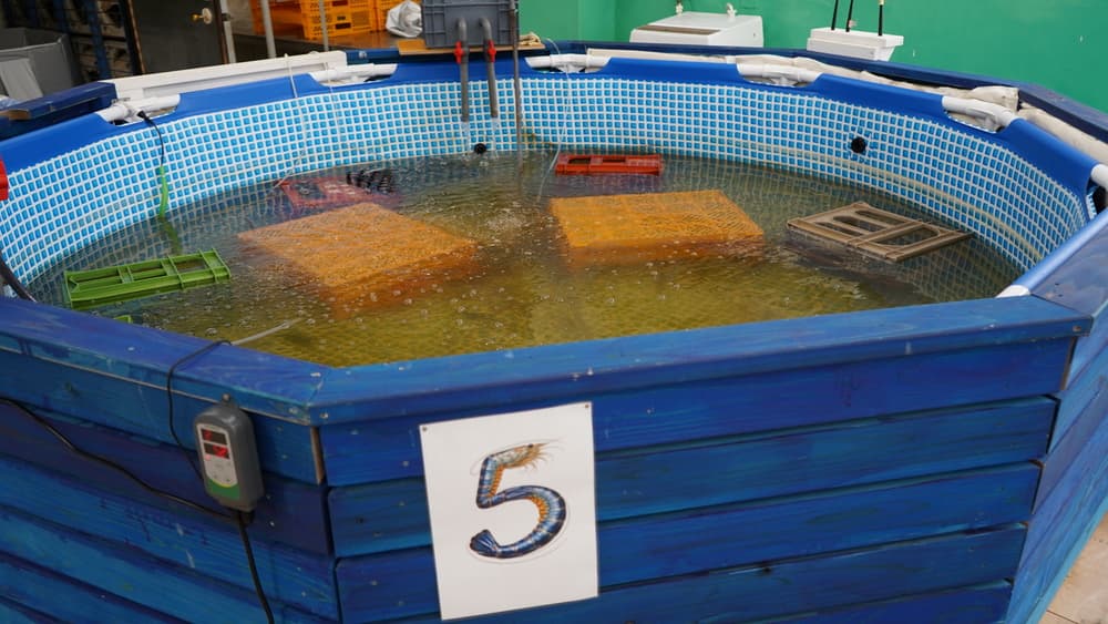 沼津シュリンプパーク　水槽