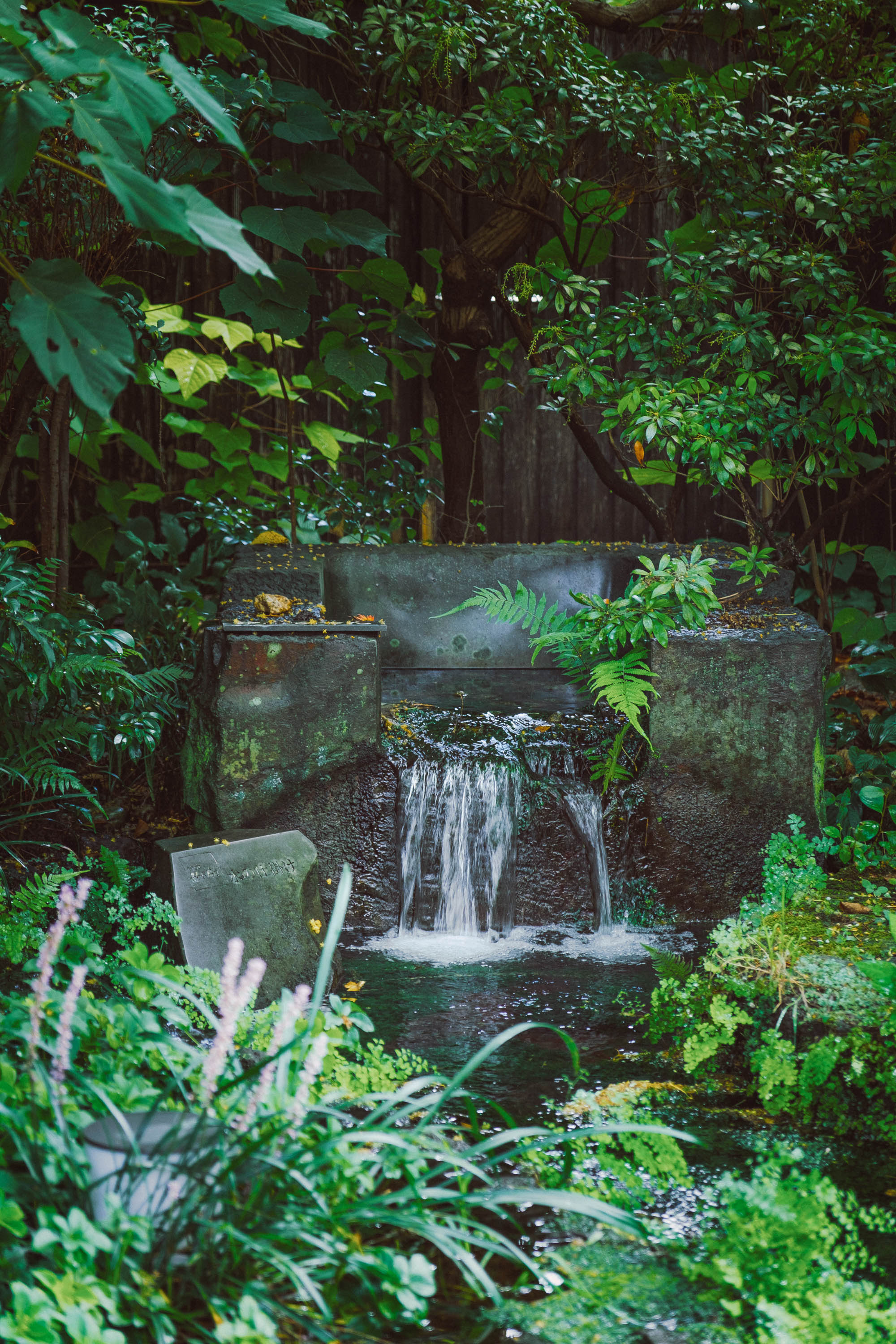 和カフェ兎月園から徒歩で約3分の「源兵衛川（げんべえがわ）」で優雅な朝散歩を楽しむ。三島は、富士山の伏流水が、街中のいたるところで湧き出ている珍しい地域で、「水の郷百選」にも選ばれている“水の都”。源兵衛川は、その水の都・三島を代表する清流で、初夏の夜にはホタルも舞う水辺スポット。