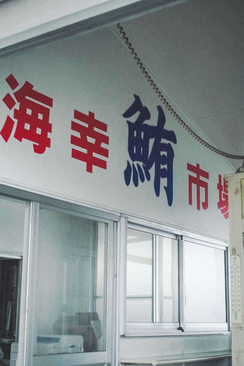 沼津港