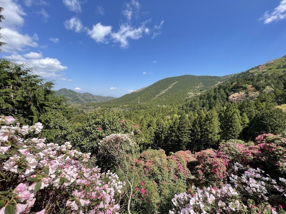 天城グリーンガーデン