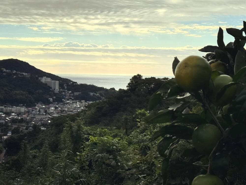 泰山園