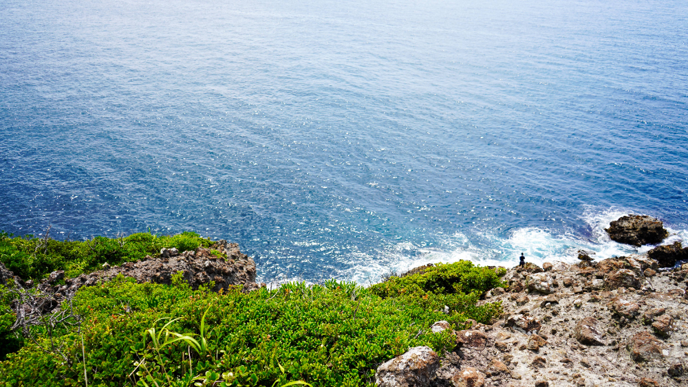 タライ岬】伊豆七島とともに望むまっすぐな水平線が広がる絶景大海原