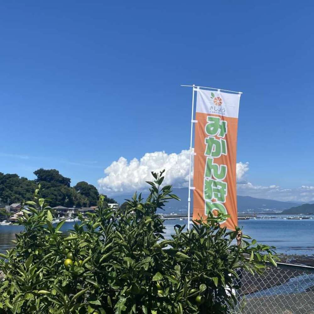 木負観光みかん園