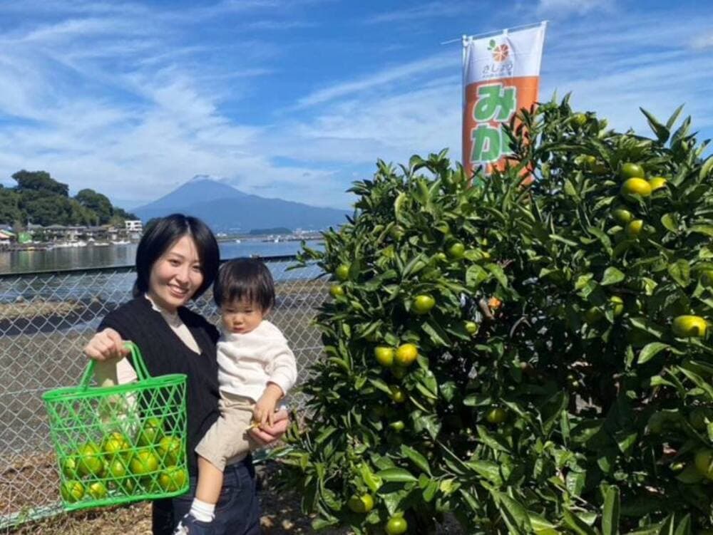木負観光みかん園