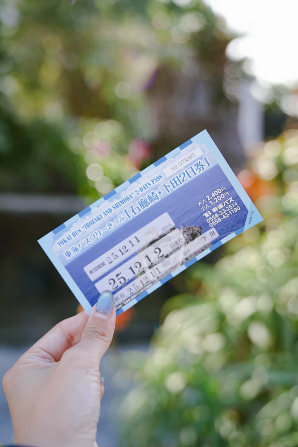 東海バスフリーきっぷ「石廊崎・下田2日券」