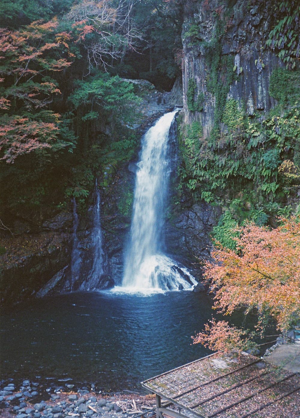 河津七滝　「大滝」
