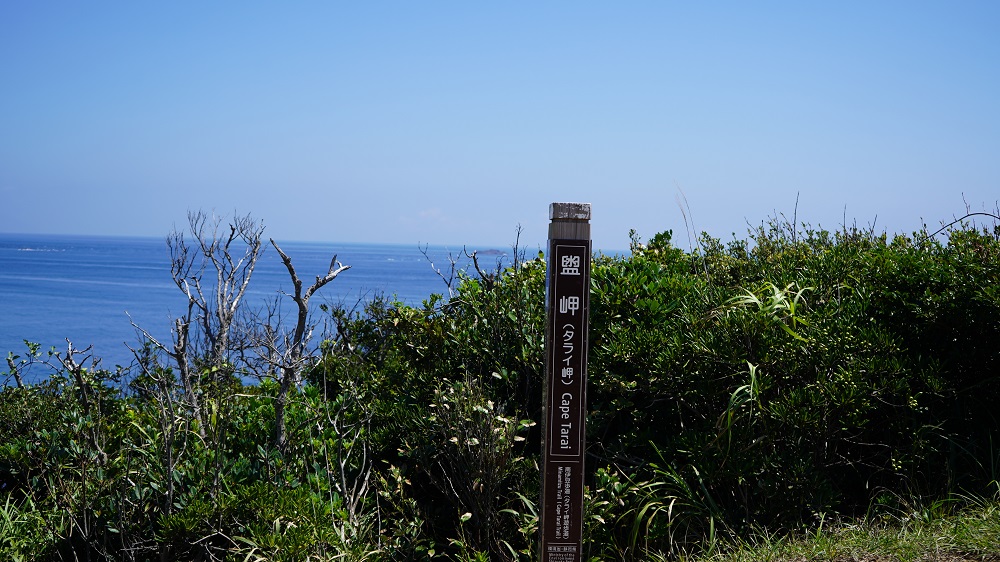 タライ岬