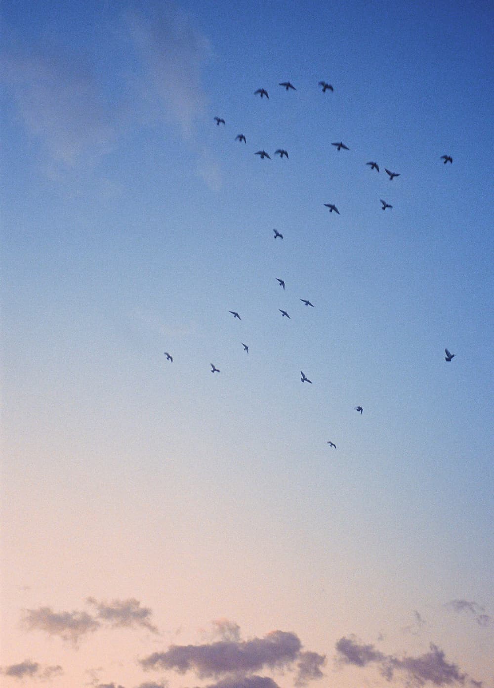 河津浜からの朝日