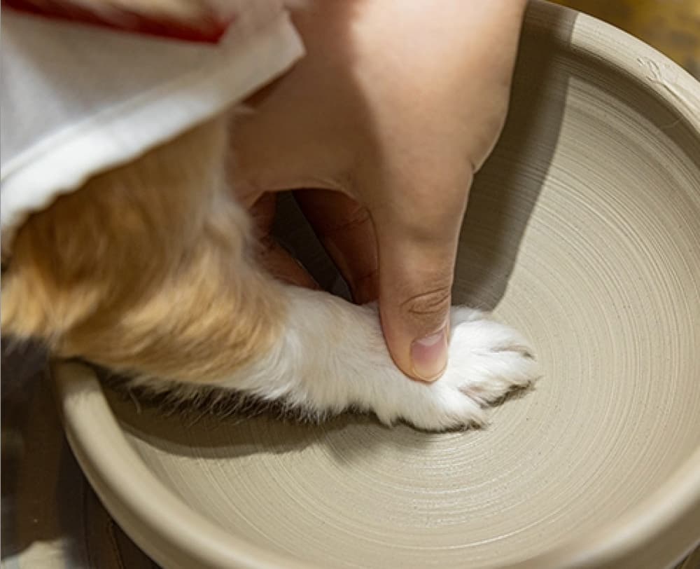 愛犬の駅　陶芸