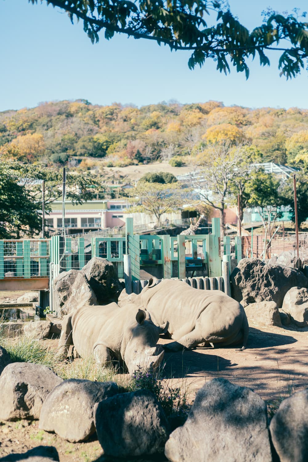 伊豆アニマルキングダム