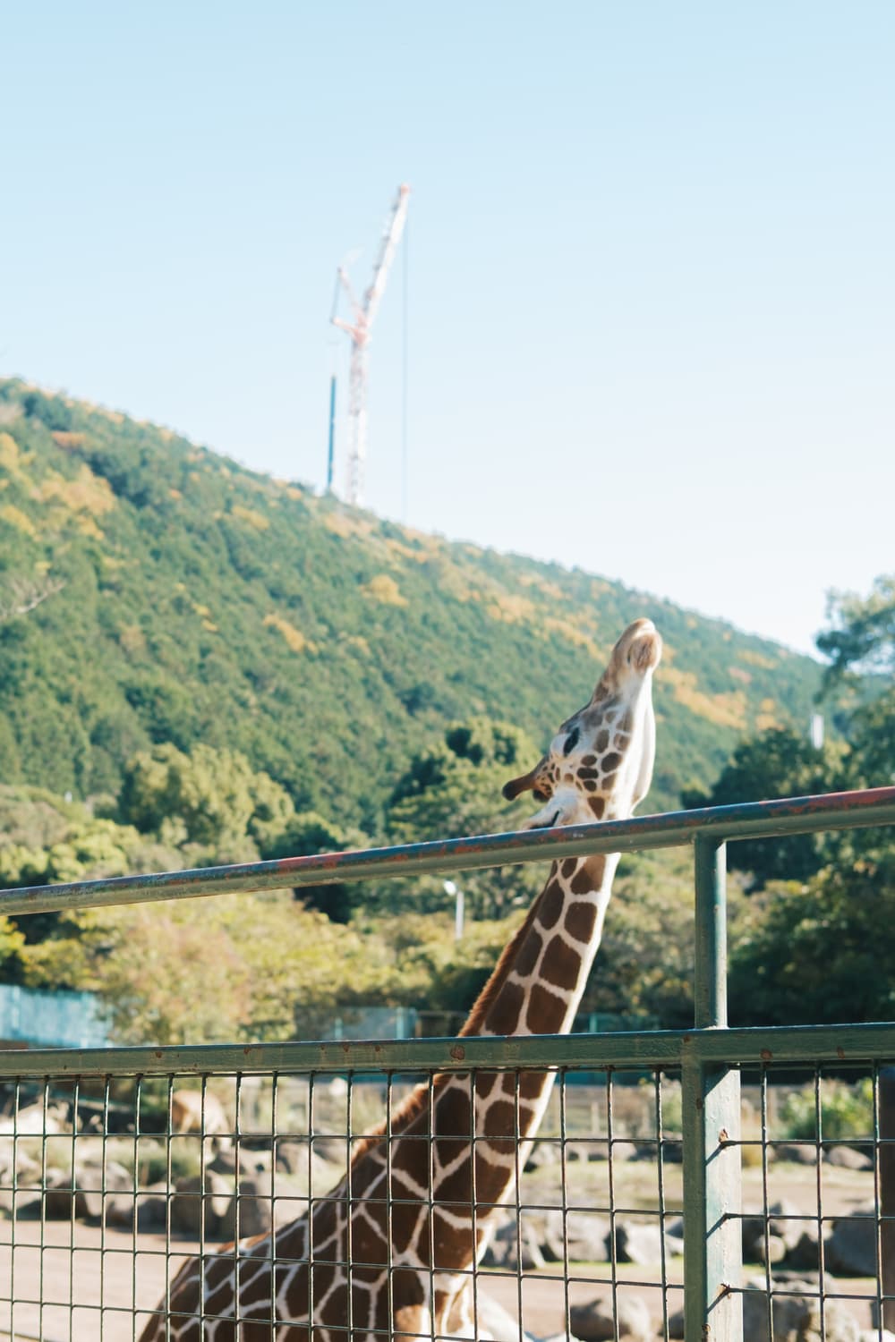 伊豆アニマルキングダム