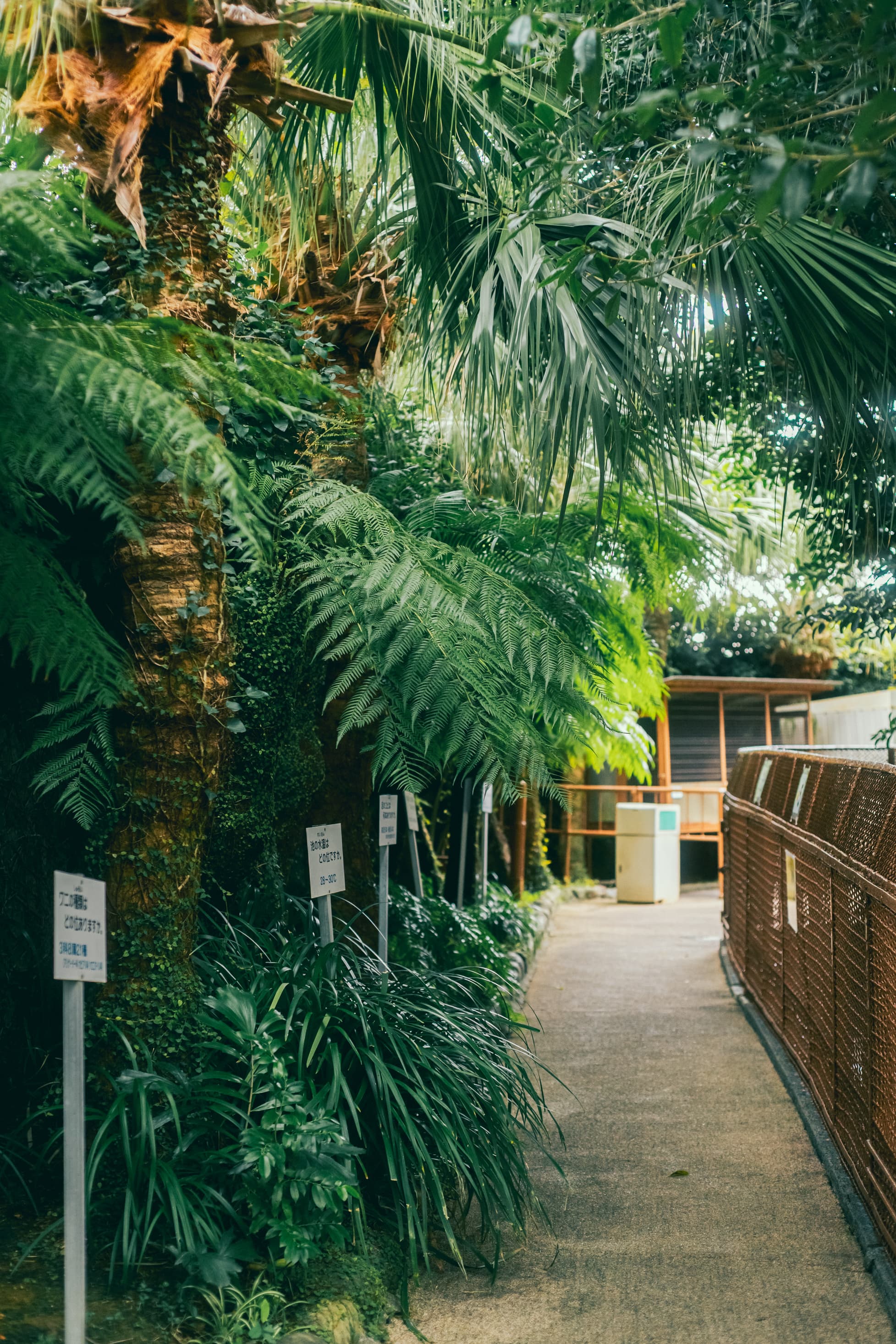 熱川バナナワニ園