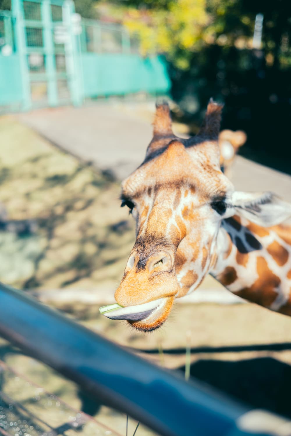 伊豆アニマルキングダム